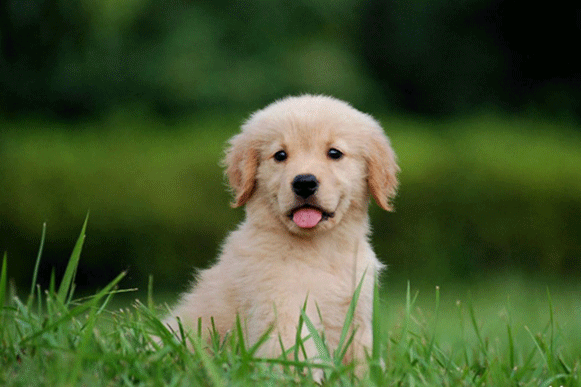 1498462238937987.gif cvxbhbbbbbbbbbbbbbb.gif