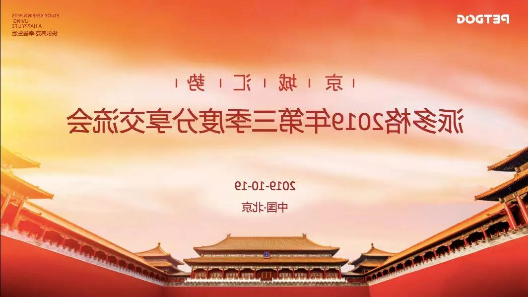 派多格宠物工作总结 派多格宠物工作总结